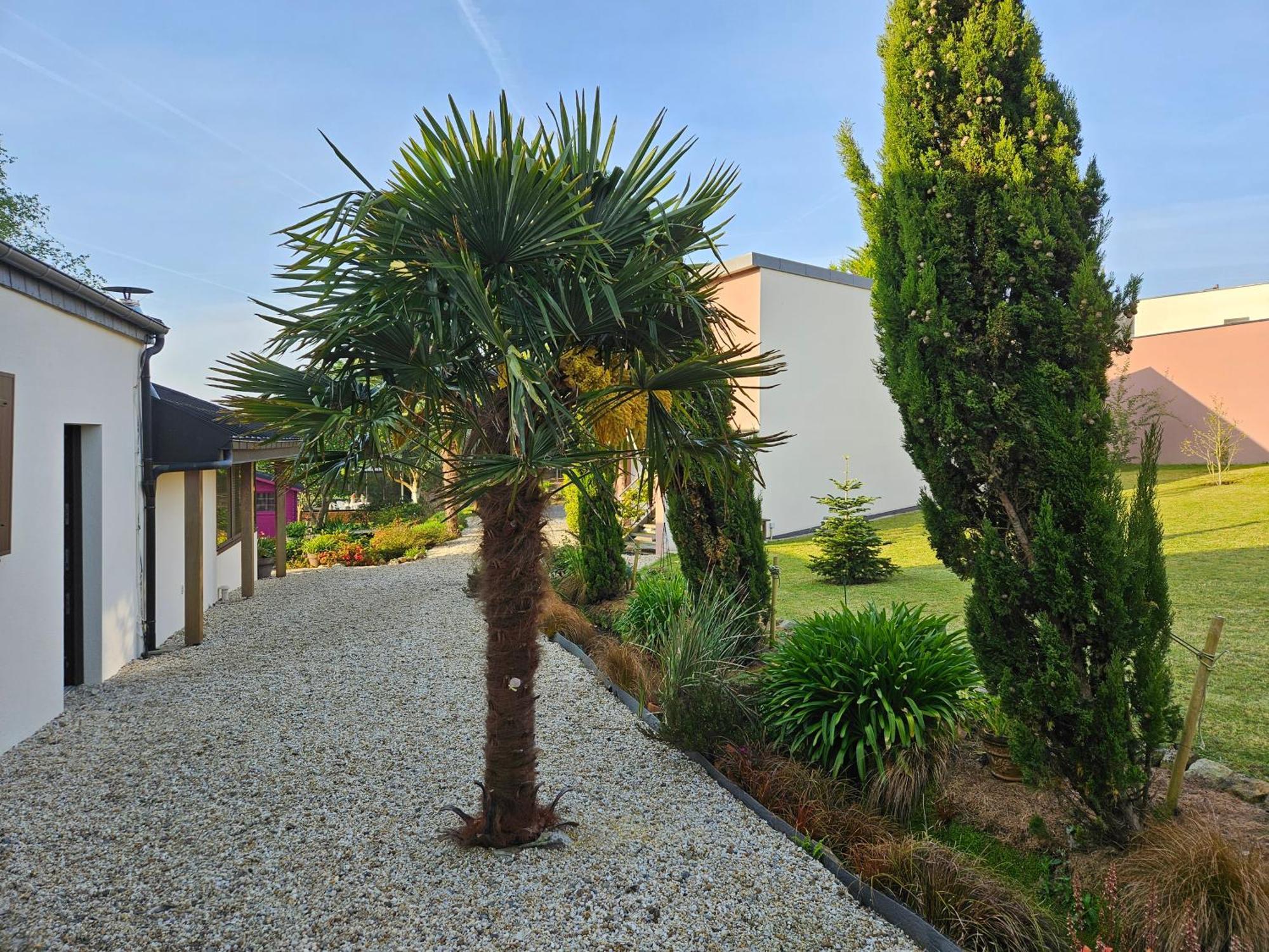 A L'Escale Fleurie Appartement Guipavas Buitenkant foto